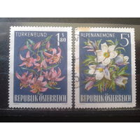 Австрия 1966 Альпийская флора Михель-1,9 евро гаш