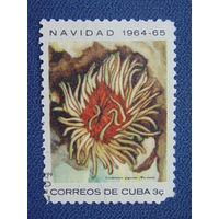 Куба 1964 г. Цветы.