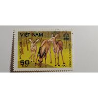 Вьетнам 1981. Животные леса Кью-Фуонг.