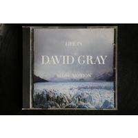 David Gray – Life In Slow Motion (2005, CD)