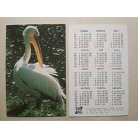 Карманный календарик. Зоопарк. Пеликан. 1991 год