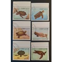 Куба 1983 черепахи