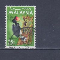 [2146] Малайзия 1965. Фауна.Птица-носорог. Гашеная марка.