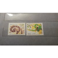 Змеи, фауна, марки, Бразилия, 1991