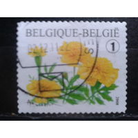 Бельгия 2008 Стандарт, цветы