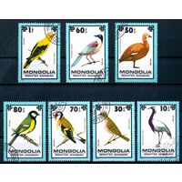 Птицы Фауна Монголия 1979 год серия из 7 марок