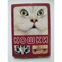 Кошки. 1989 год. 16 из 18 открыток