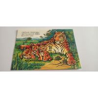 Блок, Россия 1992 ,Тигр, охрана природы