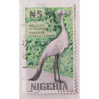 Нигерия 1993, птица