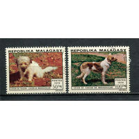 Малагасийская республика - 1974 - Собаки - [Mi. 726-727] - полная серия - 2 марки. Гашеные.  (LOT AM46)