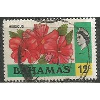 Багамы. Королева Елизавета II. Цветы. Гибискус. 1971г. Mi#326.