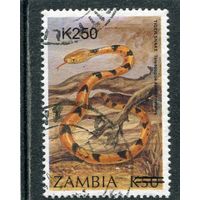 Замбия. Фауна. Кошачья змея. Надпечатка