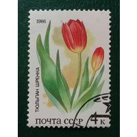 Марка СССР 1986 Тюльпан