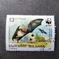 Марка Болгария 1989 год Летучая мышь