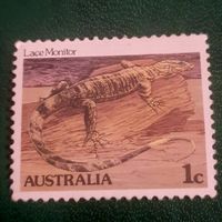 Австралия. Рептилии. Lace Monitor