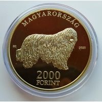 Венгрия 2000 форинтов 2020 года. Комондор. ПРУФ!