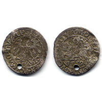 Полугрош 1559, Жигимонт Август, Вильно. Окончания легенд: Ав - LI, Рв - LITVA. Буква A в MAG - перевернутая V