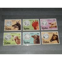 Куба 1975 Фауна. Ветеринария. Паразиты домашних животных. Полная серия 6 марок