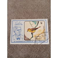 Куба 1986. Птицы. Dendroica petachia gundlachi
