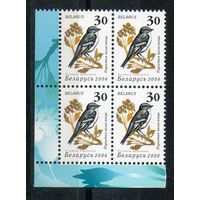 Девятый стандартный выпуск "Птицы сада" Беларусь 2006 год (650) 1 марка в квартблоке (мелованная бумага)
