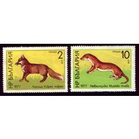 2 марки 1977 год Болгария 2598-2599