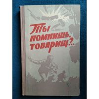 Ты помнишь, товарищ?.. Воспоминания бойцов и командиров тульских партизанских отрядов 1966 год