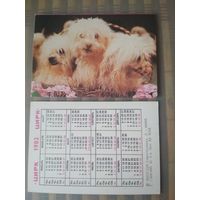 Карманный календарик. Цирк. Собаки. 1982 год