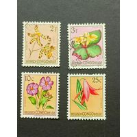 Конго 1952-1953. Цветы