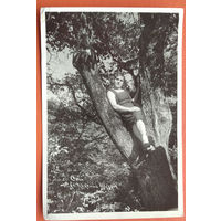 Фото девушки на дереве. Сочи. Санаторий НКВД "Красный штурм" 1940 г. 12х18 см.