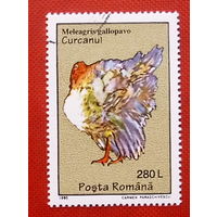 Румыния. ( 1 марка ) 1995 года.