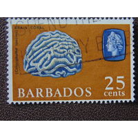 Барбадос 1965 г . Морская фауна.