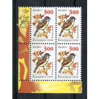 Девятый стандартный выпуск "Птицы сада" Беларусь 2006 год (654) 1 марка в квартблоке (мелованная бумага)