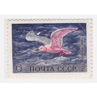 СССР 1972 Розовая чайка