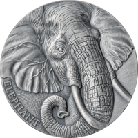 Камерун 2000 франков 2023г. "Слон". Монета в капсуле; деревянном подарочном футляре; сертификат; коробка. СЕРЕБРО 62,20гр.(2 oz).
