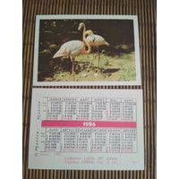 Карманный календарик. Фламинго .1986 год
