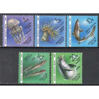 Фауна Черного моря СССР 1991 год (6279-6283) серия из 5 марок