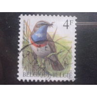 Бельгия 1989 Стандарт, птица 4 франка