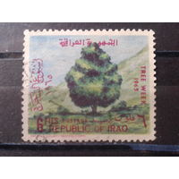 Ирак 1965 Охрана деревьев