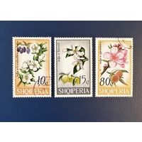 Албания 1969 год Флора Деревья Цветы и Фрукты Серия 3 марки Mi:1362,1363,1367 Гашеные