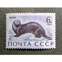 Марка СССР 1971 год Морские млекопитающие