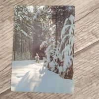 Открытка 1986г. Зимний лес. Фото А.Пушкина, Чистая