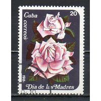 РОзы Куба 1984 год 1 марка