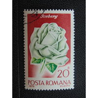 Румыния 1970 г. Цветы.