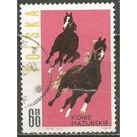 Польша. Скаковые лошади. 1963г. Mi#1451.