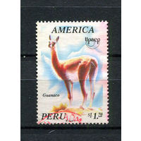 Перу - 1995 - Фауна - [Mi. 1550] - полная серия - 1 марка. Гашеная.  (Лот 19BT)