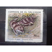 Сальвадор, 1993. Животное