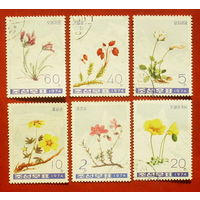 КНДР. Цветы. ( 6 марок ) 1974 года. 9-17.