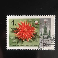 СССР 1978 год. Цветы Москвы