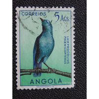 Португальская Ангола 1951 г. Птицы.