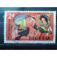 Нигерия 1971 Птицы